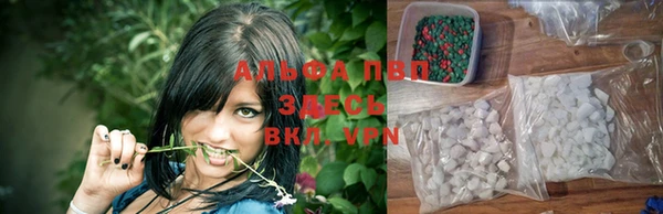 прущая мука Вяземский