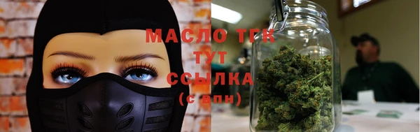 прущая мука Вяземский