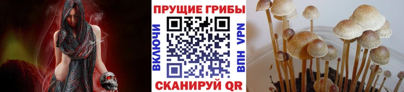 Псилоцибиновые грибы GOLDEN TEACHER  Купить где  Красково 