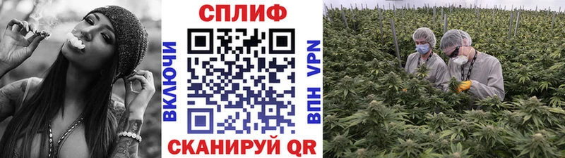 Купить где  Красково  МАРИХУАНА ГИДРОПОН 
